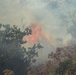The Cristianitos Fire