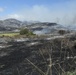 The Cristianitos Fire