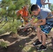CDC plants Arbor Day tree