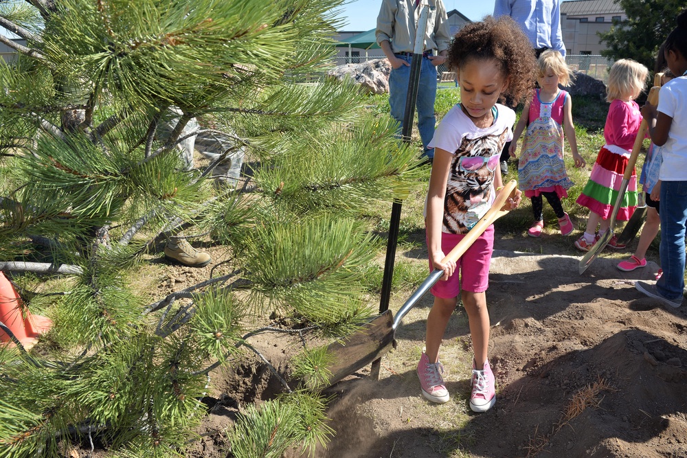 CDC plants Arbor Day tree