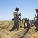 Travis Troops Build Fence To Protect California Tiger Salamander