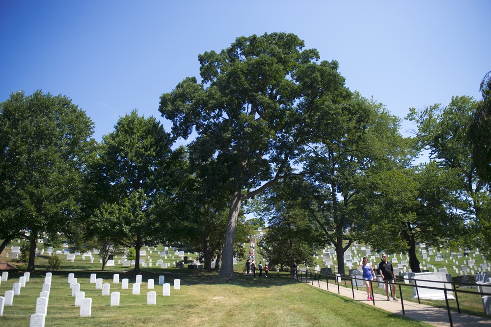 Happenings in Arlington National Cemetery