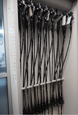 Employee force at Dorn IS the first line of microbe defense for Veterans