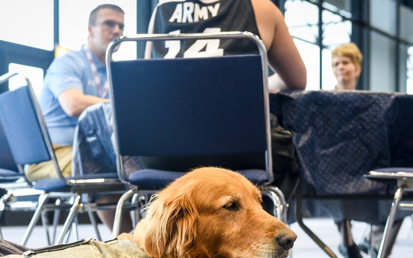 Moxie takes a break while her athlete is interviewed