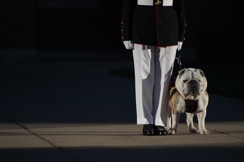 SD attends Marine Barracks sunset parade