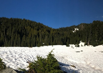 Coast Guard medevaced an injured girl from Olympic National Park, Wash.