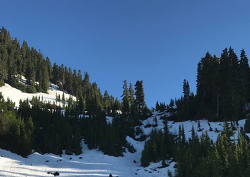 Coast Guard medevaced an injured girl from Olympic National Park, Wash.