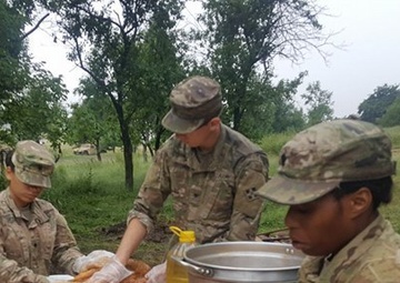 3/4 ABCT brings taste of America to Romania with 4th of July pig roast