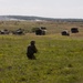 Battalion field training exercise in Ukraine