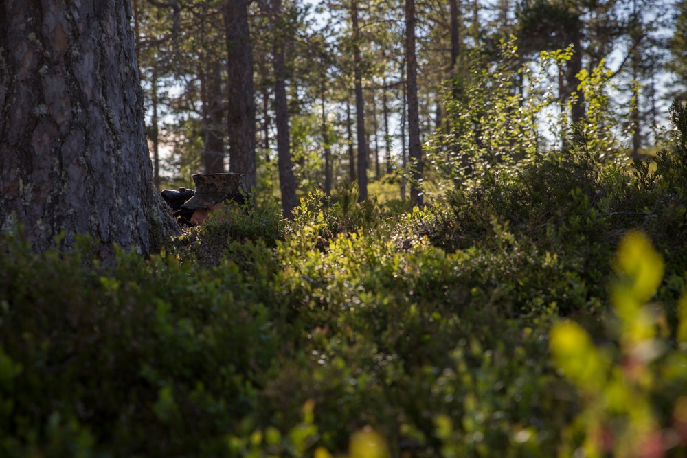 MRF-E Marines race through Nordic terrain during squad competition