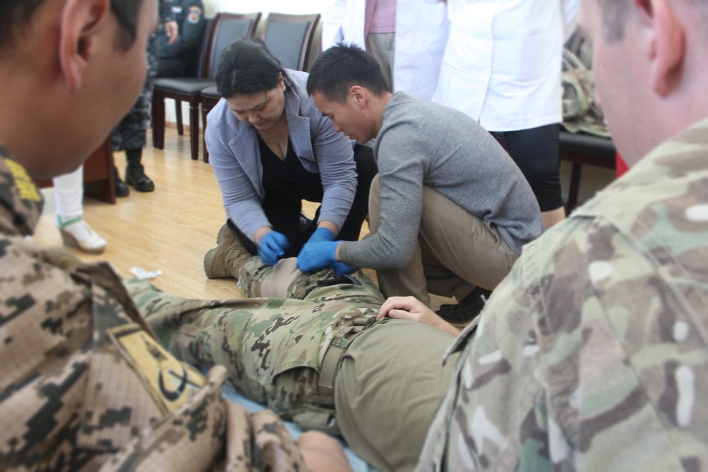 US, Mongolian nurses learn alongside one another