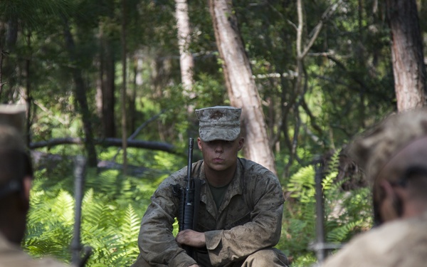 Down Time on the Crucible