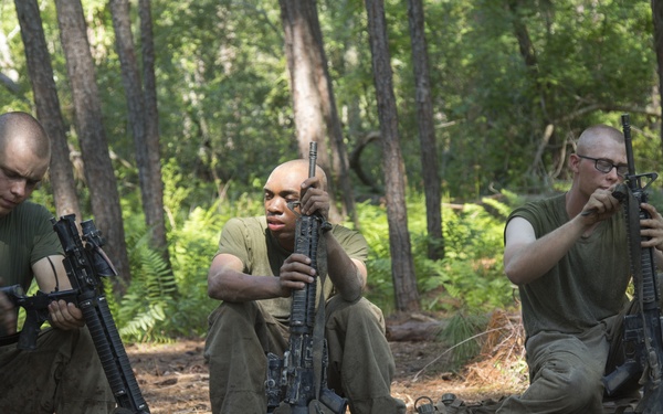 Down Time on the Crucible