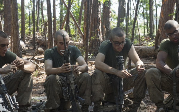 Down Time on the Crucible