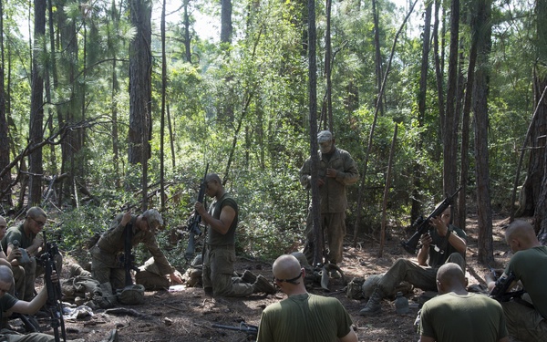 Down Time on the Crucible