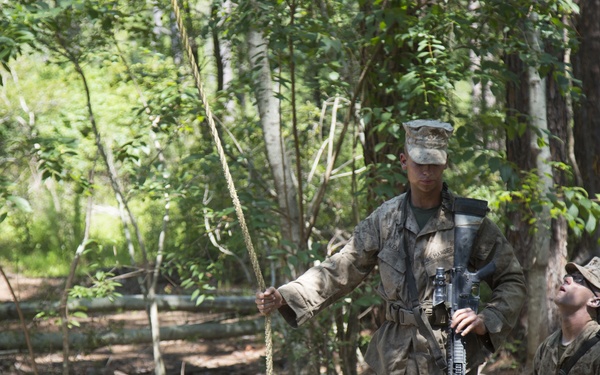 Hotel Company goes through the crucible