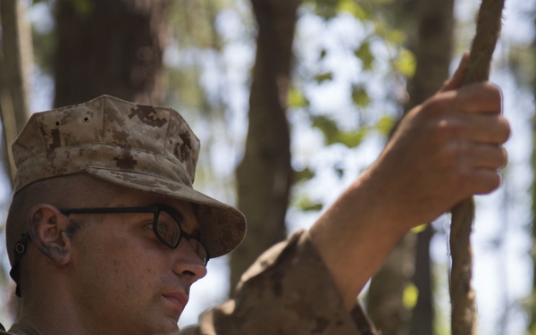 Hotel Company goes through the crucible