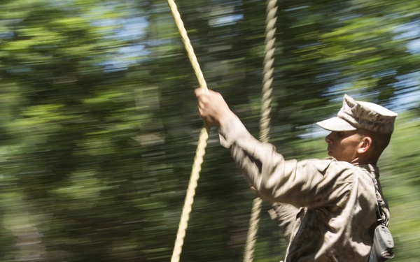 Hotel Company goes through the crucible