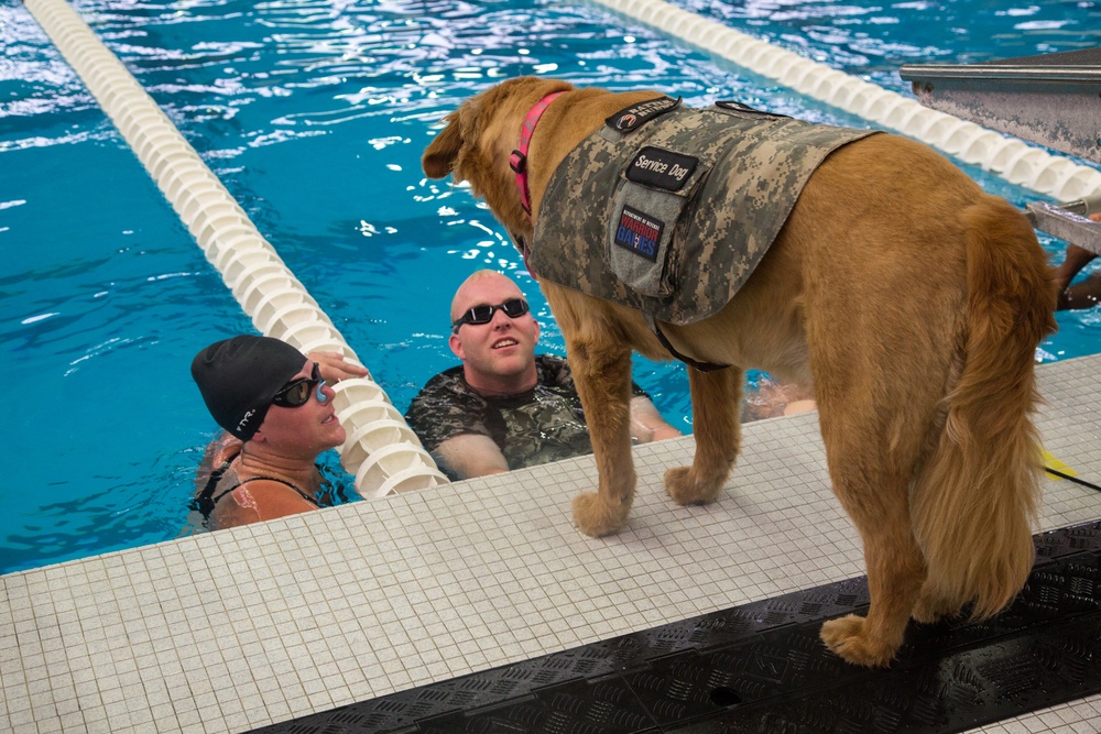 2017 DOD Warrior Games