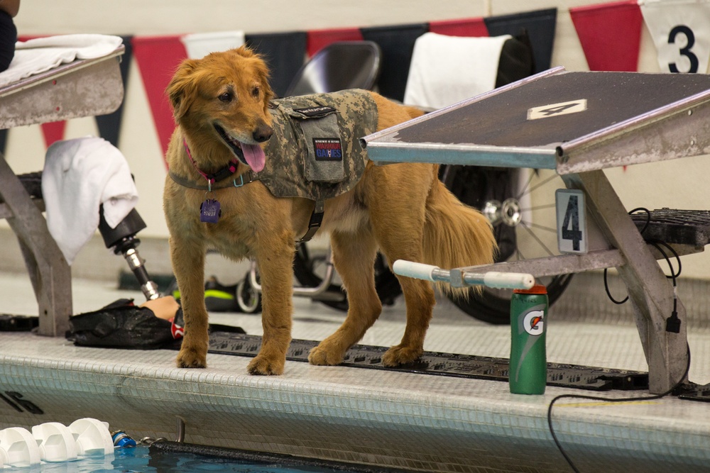 2017 DOD Warrior Games