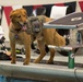 2017 DOD Warrior Games