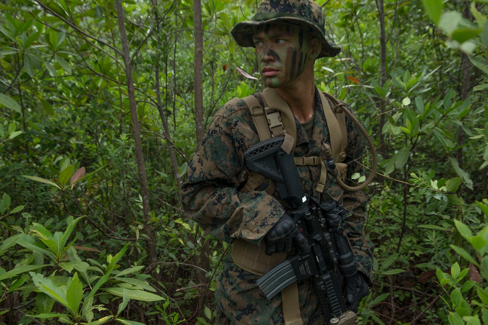 1st Battalion 6th Marine Regiment Field Exercise