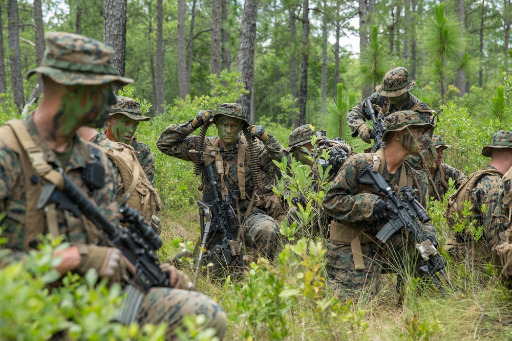 1st Battalion 6th Marine Regiment Field Exercise