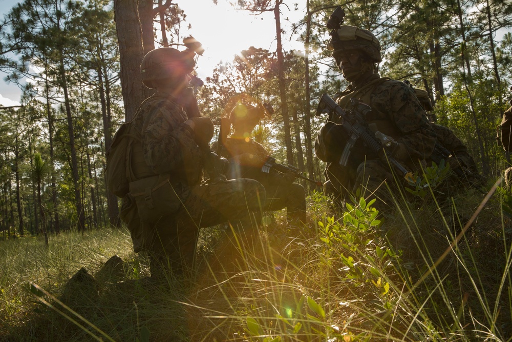 1st Battalion 6th Marine Regiment Field Exercise