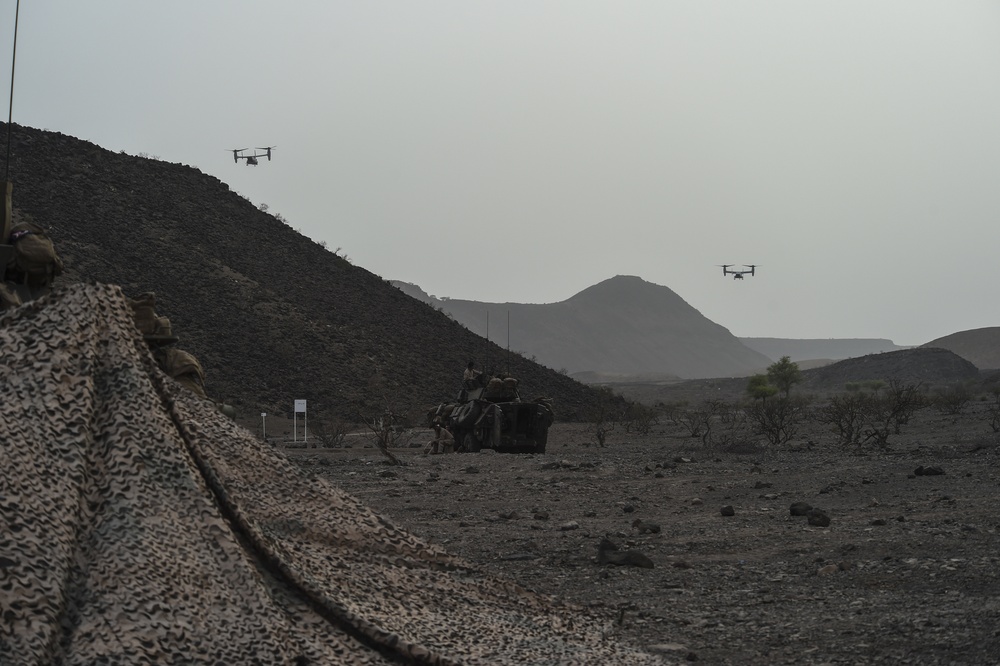 24th MEU utilize Horn of Africa terrain for training