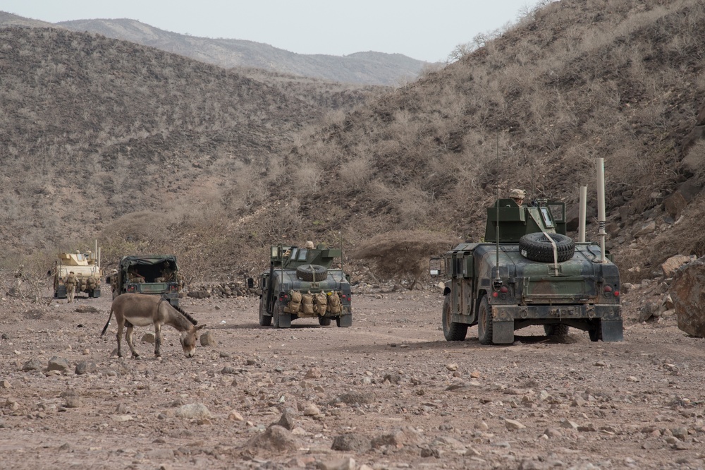 24th MEU utilize the Horn of Africa terrain for training