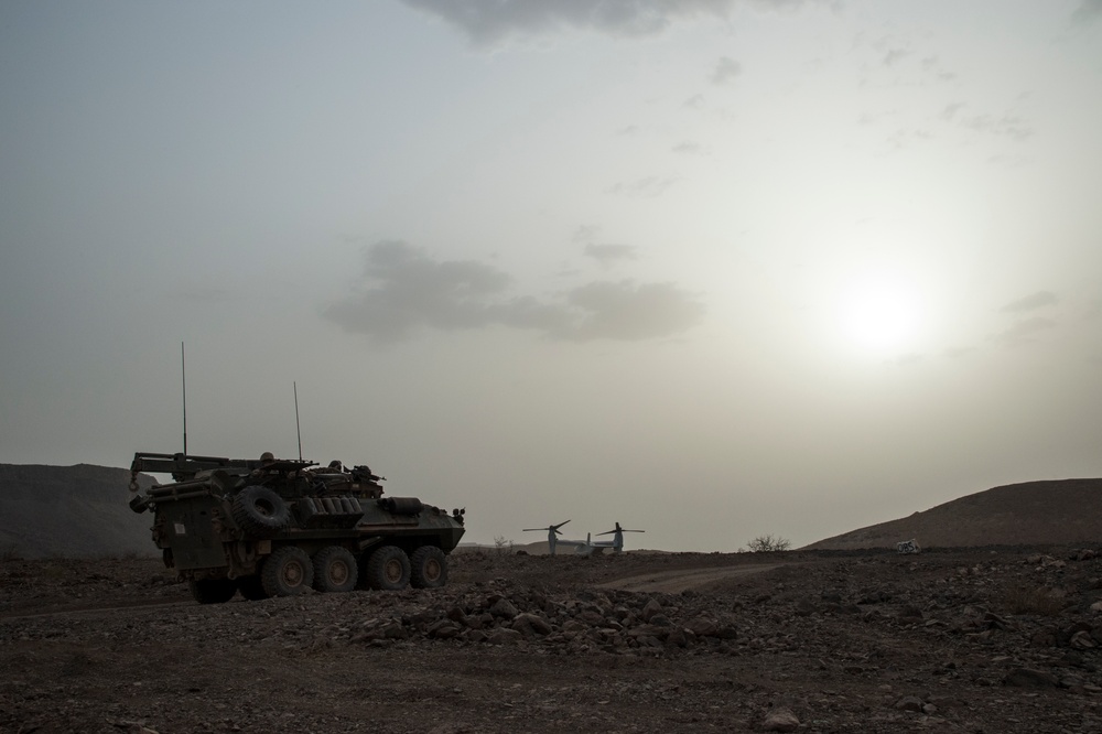 24th MEU utilize the Horn of Africa terrain for training
