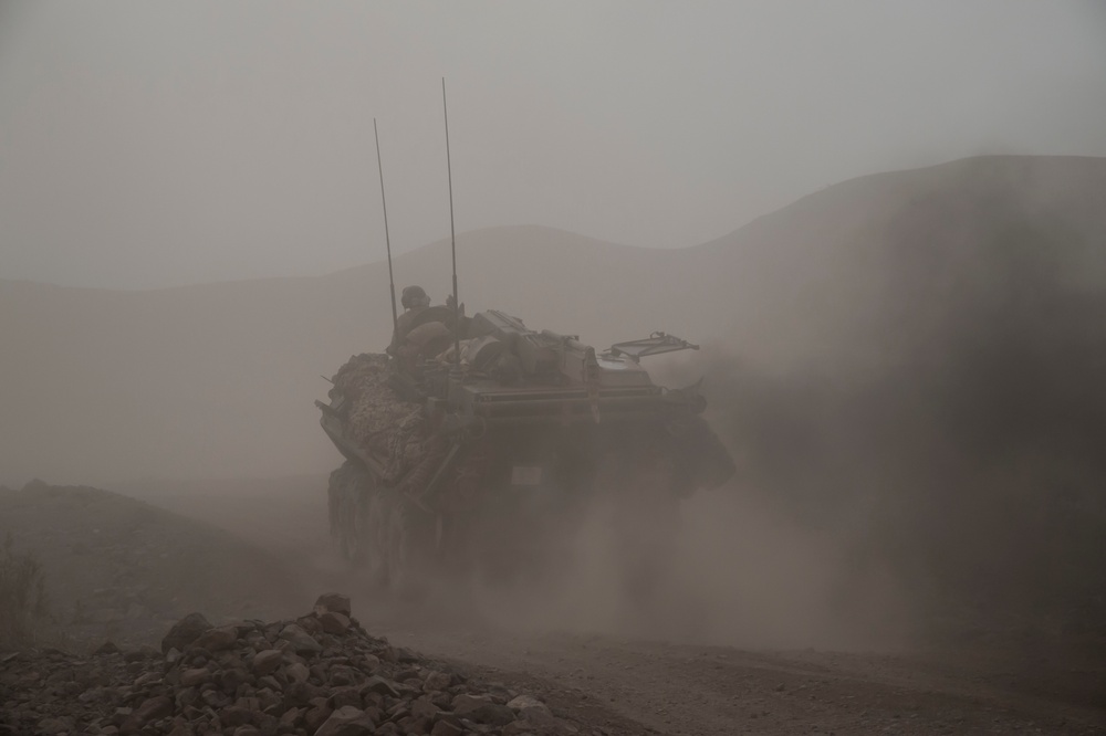 24th MEU utilize the Horn of Africa terrain for training