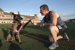 Service Dogs of the 2017 DoD Warrior Games