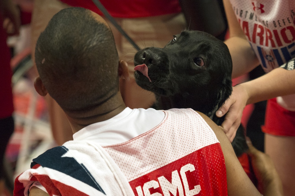 Service Dogs of the 2017 DoD Warrior Games