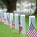 Flags for the fallen