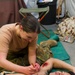 Williamson Airfield Mass Casualty Exercise