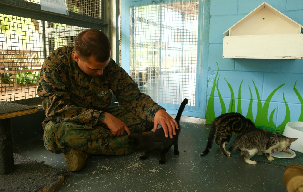 Lima Company Devildogs Visit Animal Shelter