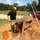 Archaeological tour provides look at Fort McCoy’s past
