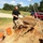 Archaeological tour provides look at Fort McCoy’s past
