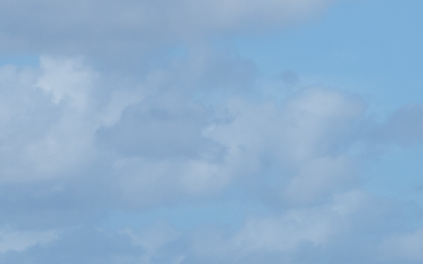 Exercise Talisman Saber 2017