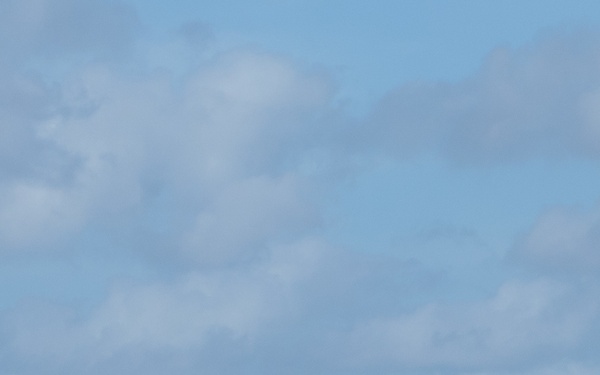 Exercise Talisman Saber 2017