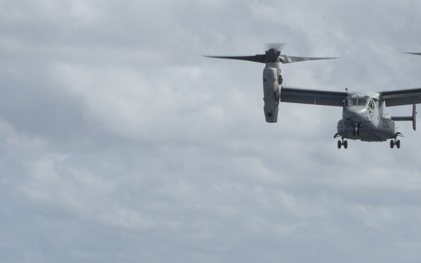 Exercise Talisman Saber 2017