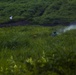 Marines participate in live-fire weapons training