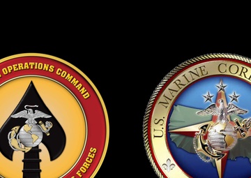 In memory of those lost