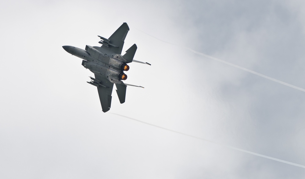 Getica Saber ends with firepower display for distinguished guests