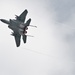 Getica Saber ends with firepower display for distinguished guests