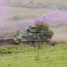 Getica Saber ends with firepower display for distinguished guests