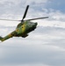 Getica Saber ends with firepower display for distinguished guests