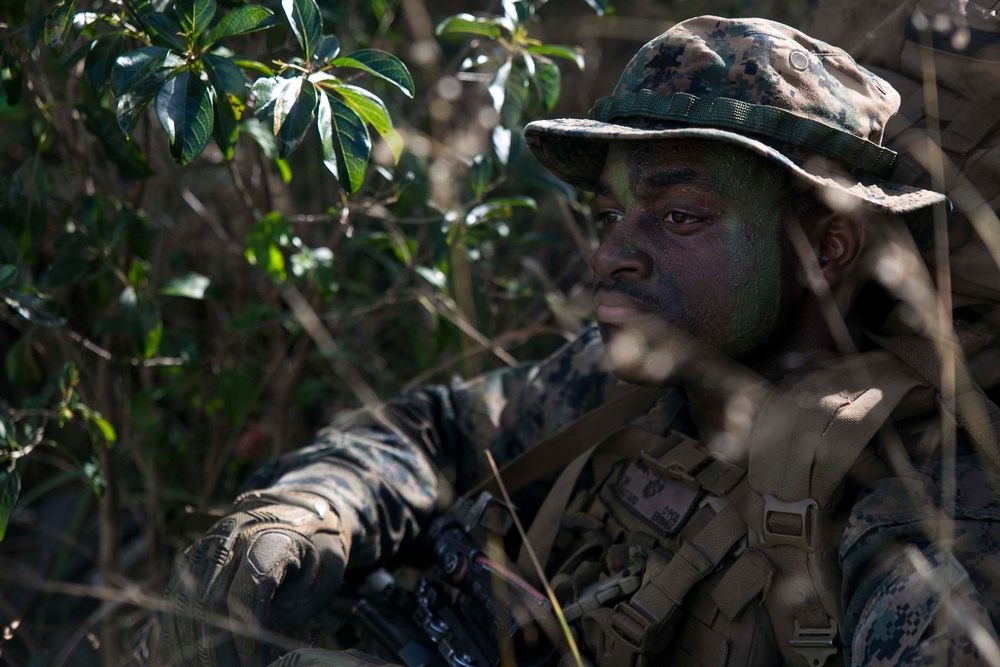 India Company kicks off Exercise Talisman Saber 17