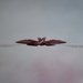 Royal International Air Tattoo (RIAT) 2017